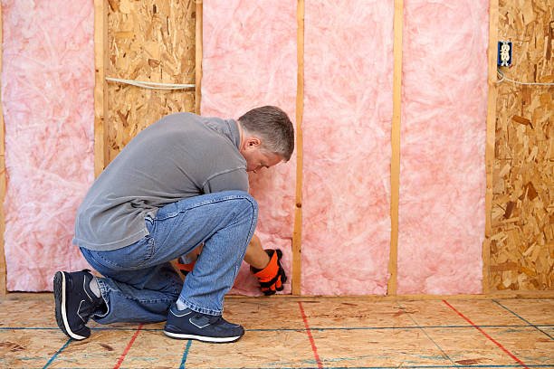 Best Radiant Barrier Insulation  in Lomira, WI